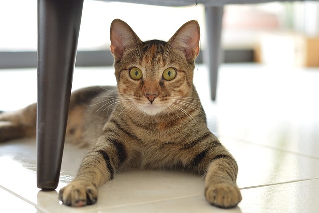 藤木 / 投資家 @JPstock_F tweet media