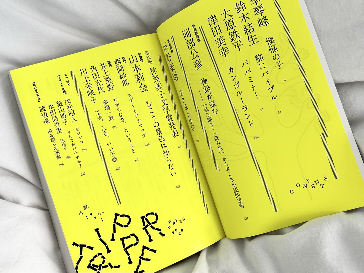 本日発売の「小説トリッパー」2026年春季号に、林芙美子文学賞受賞作『むこうの景色は知らない』が掲載されています
皆さま、ご高覧いただけるとうれしいです💐

#小説トリッパー
#林芙美子文学賞