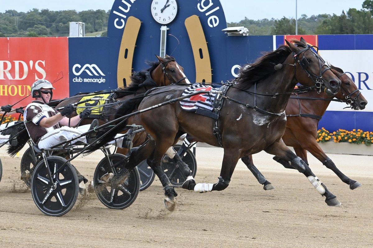 Club Menangle tweet media