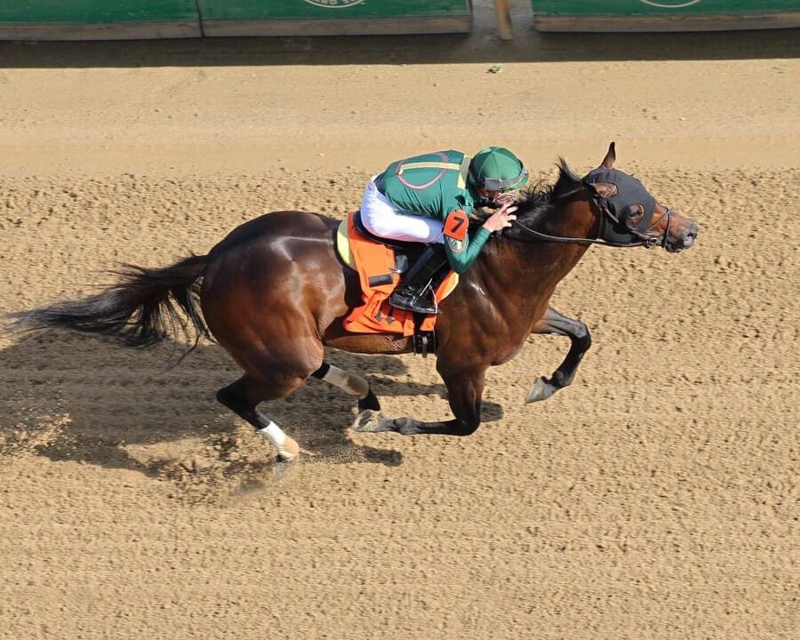 Alex Foley tweet media