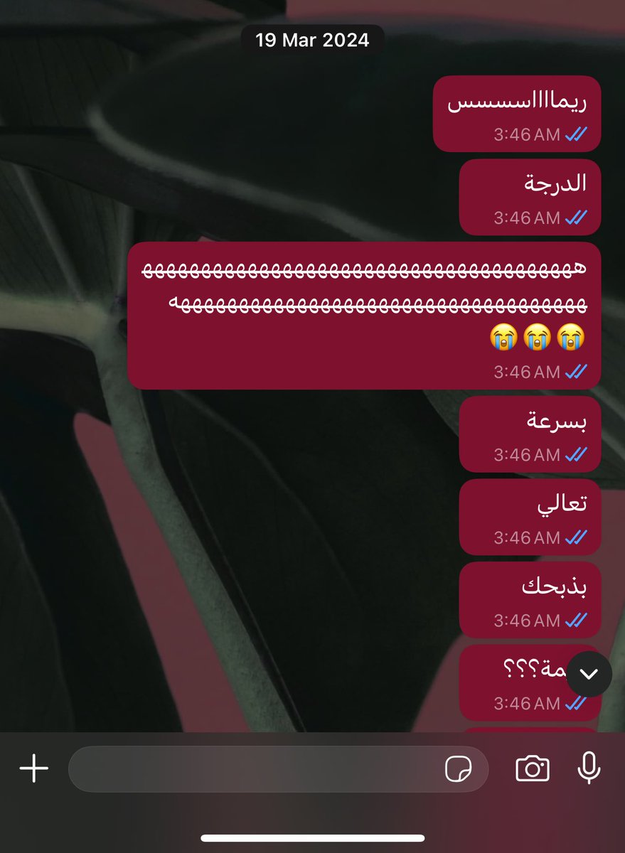 لمـار tweet media