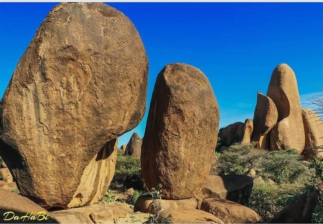 Aw Qadar tweet media