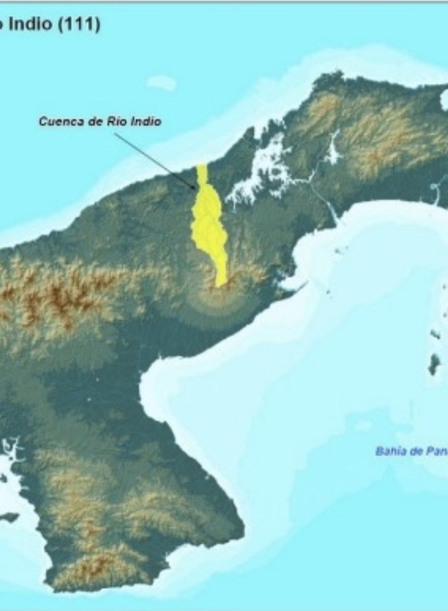 KevinDavidPty tweet media