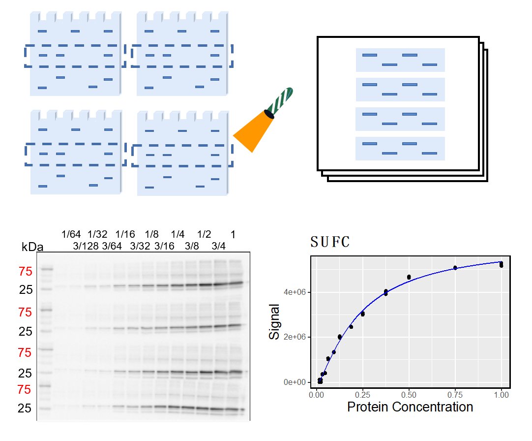 日本植物学会 tweet media