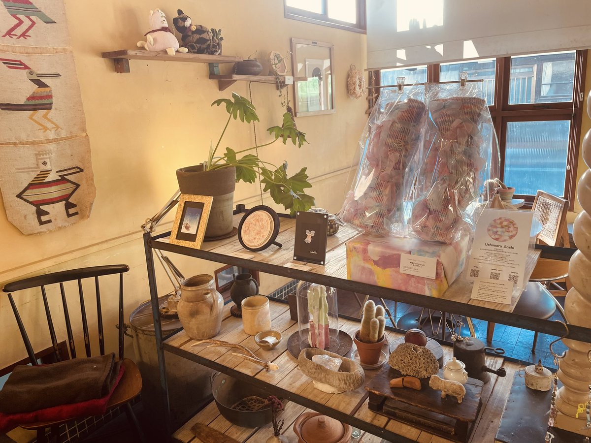 Ushimaru Saeki tweet media