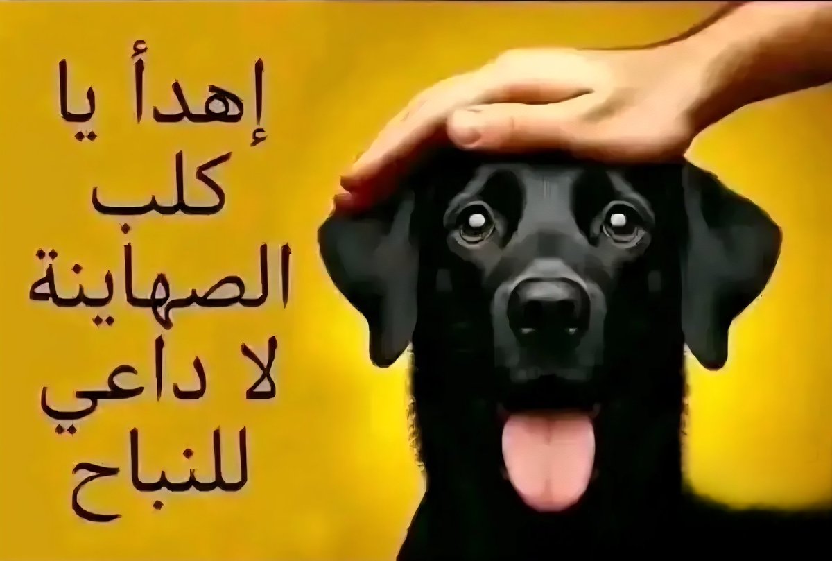 SyzarS89372's tweet photo. @see77001 @___EHAB__ https://t.co/tiQB9DFhy8