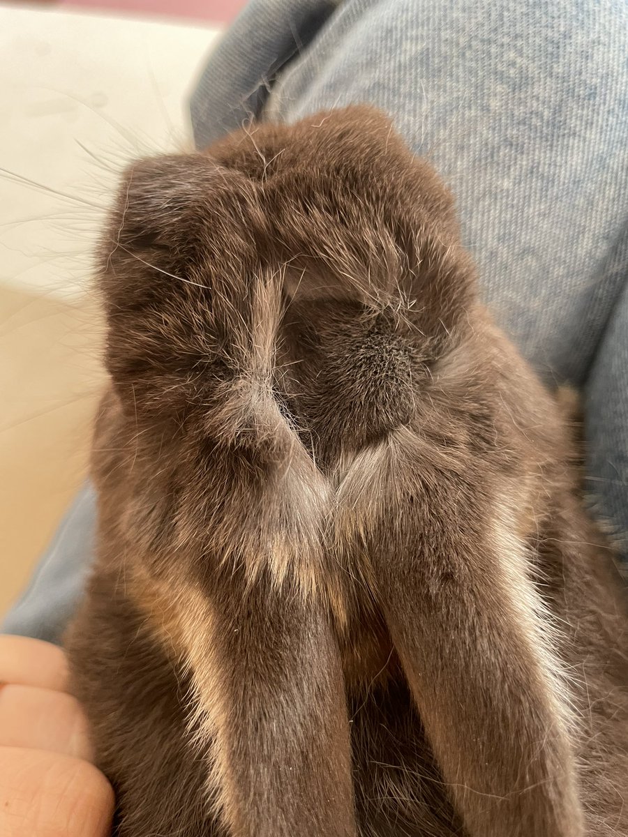 ほほえみり tweet media