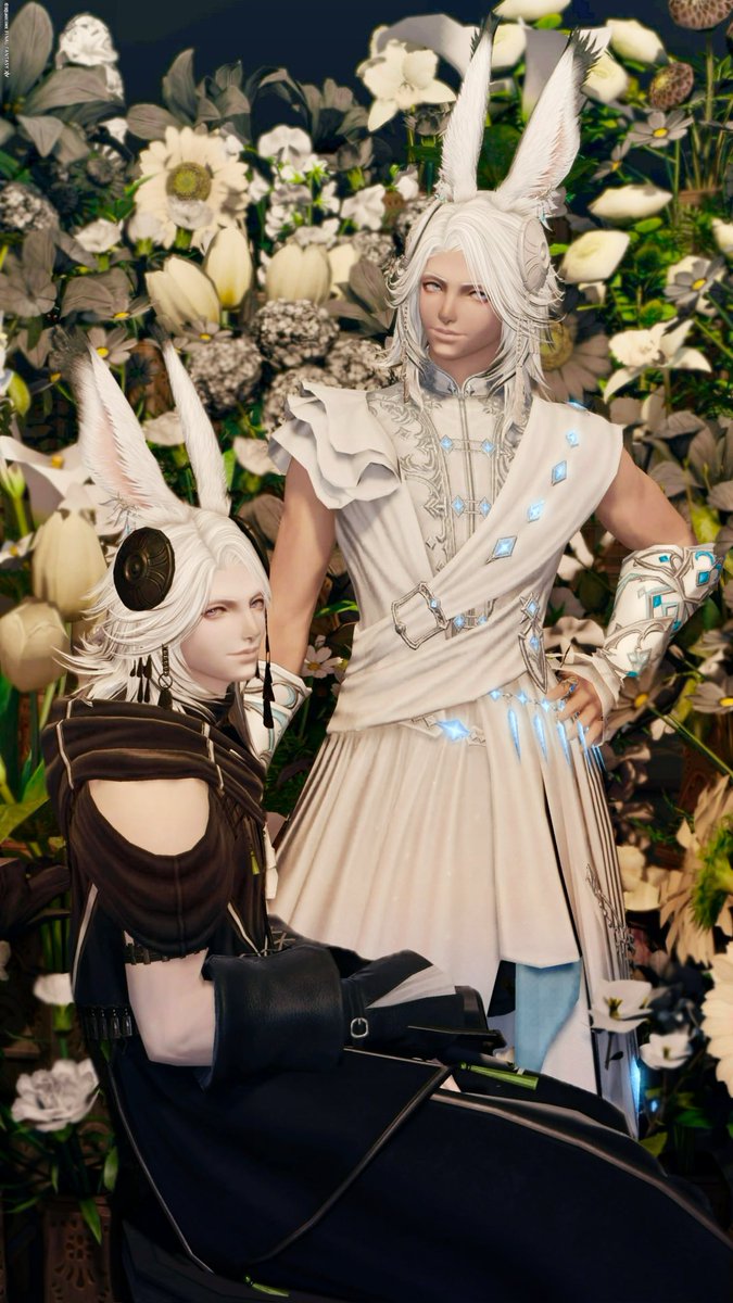 REbiseER tweet media