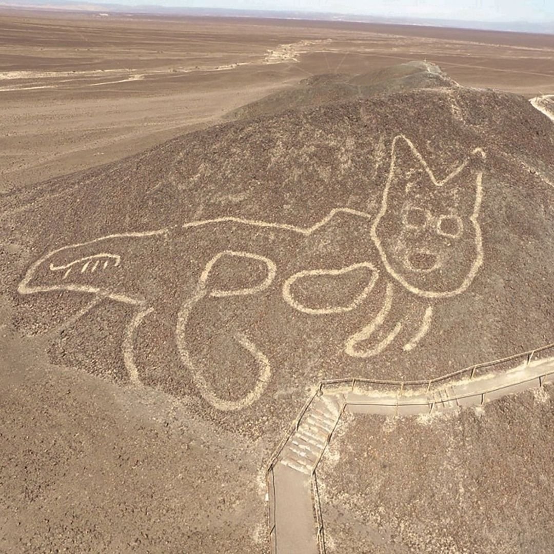 まちこむし🐰🌻【Marble Creators】 tweet media