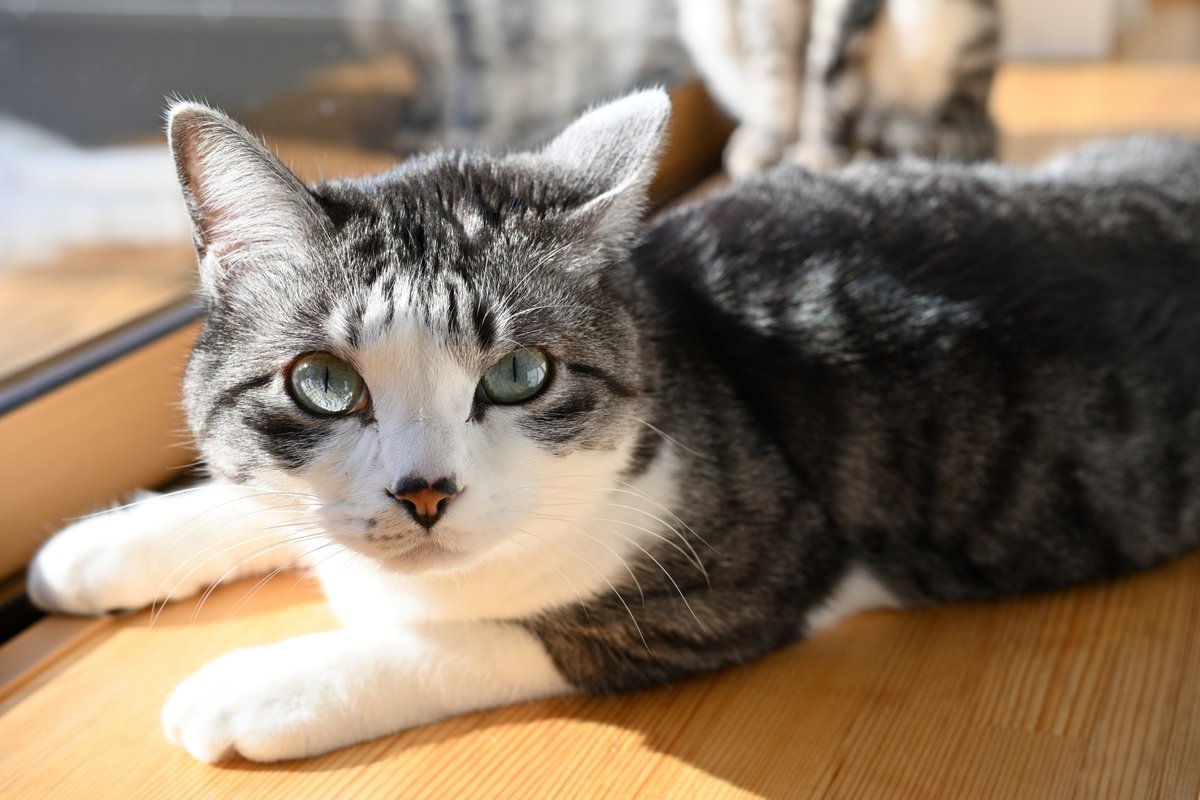 deeeee1c tweet media