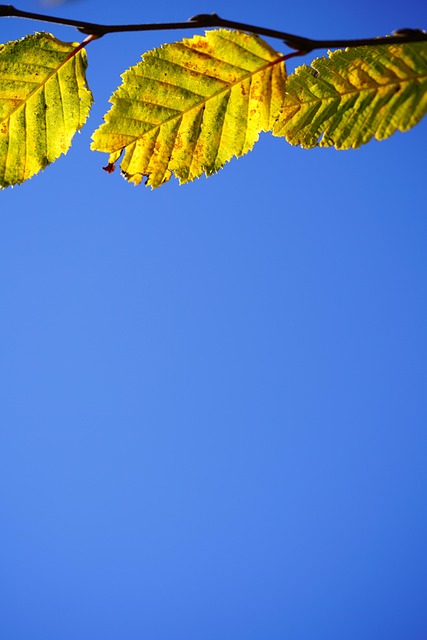 Tanya Miller tweet media