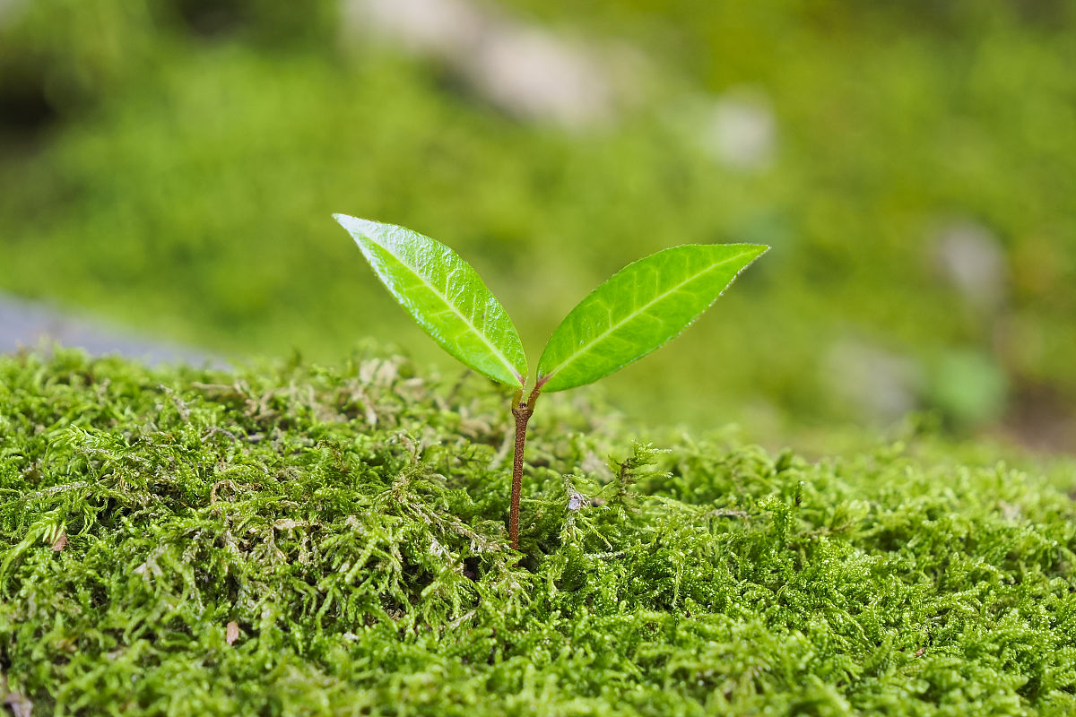 cristina ugsimar tweet media