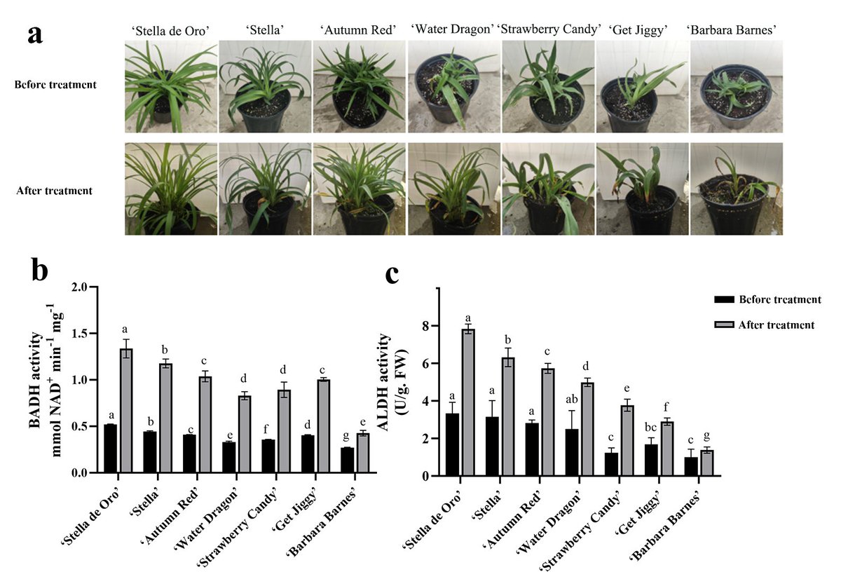 日本植物学会 tweet media