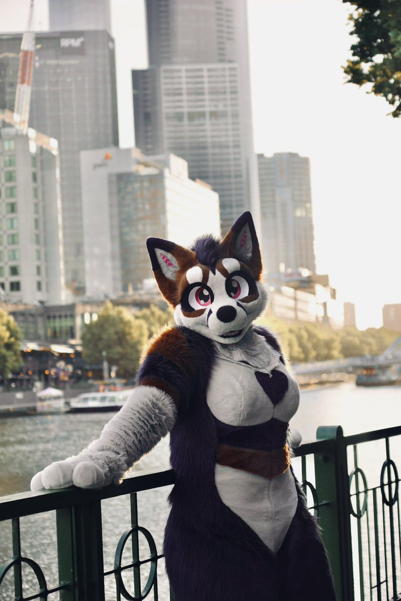 Riley 🇦🇺 tweet media