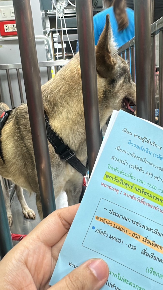 DESTROY ANGEL SHIBARI 🇹🇼4-8/4 tweet media