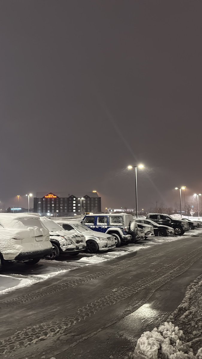 shams haroon tweet media