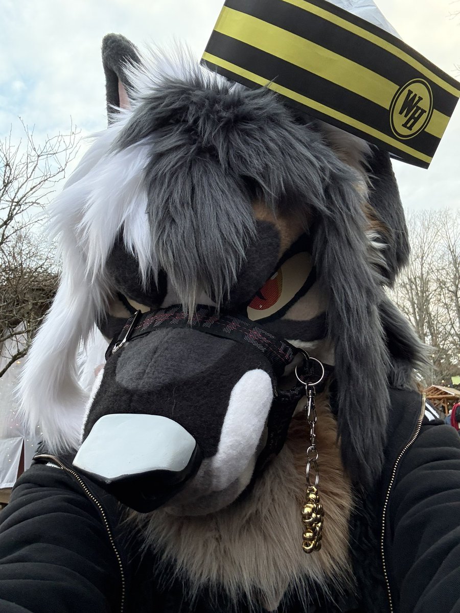 grim 🦇 🔜 FWA tweet media