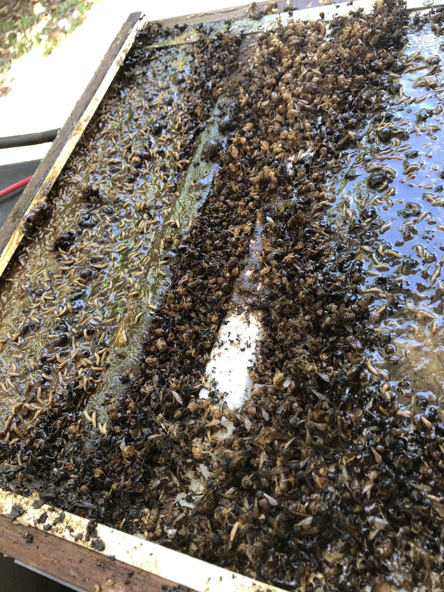 Konan the Kontrarian tweet media