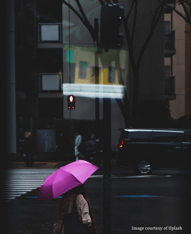 Cat Writers' Assoc. tweet media