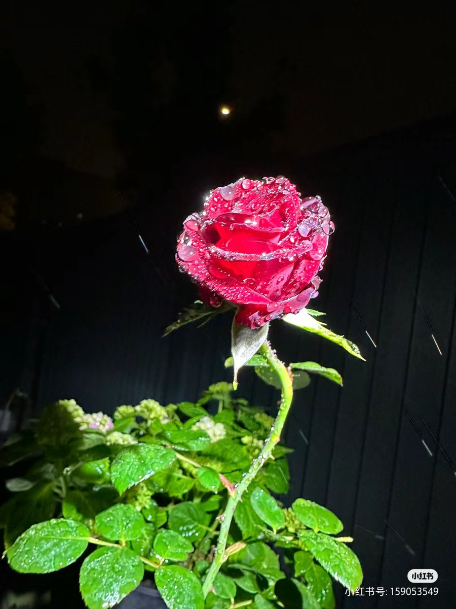 Sylwia Marzuchowska tweet media