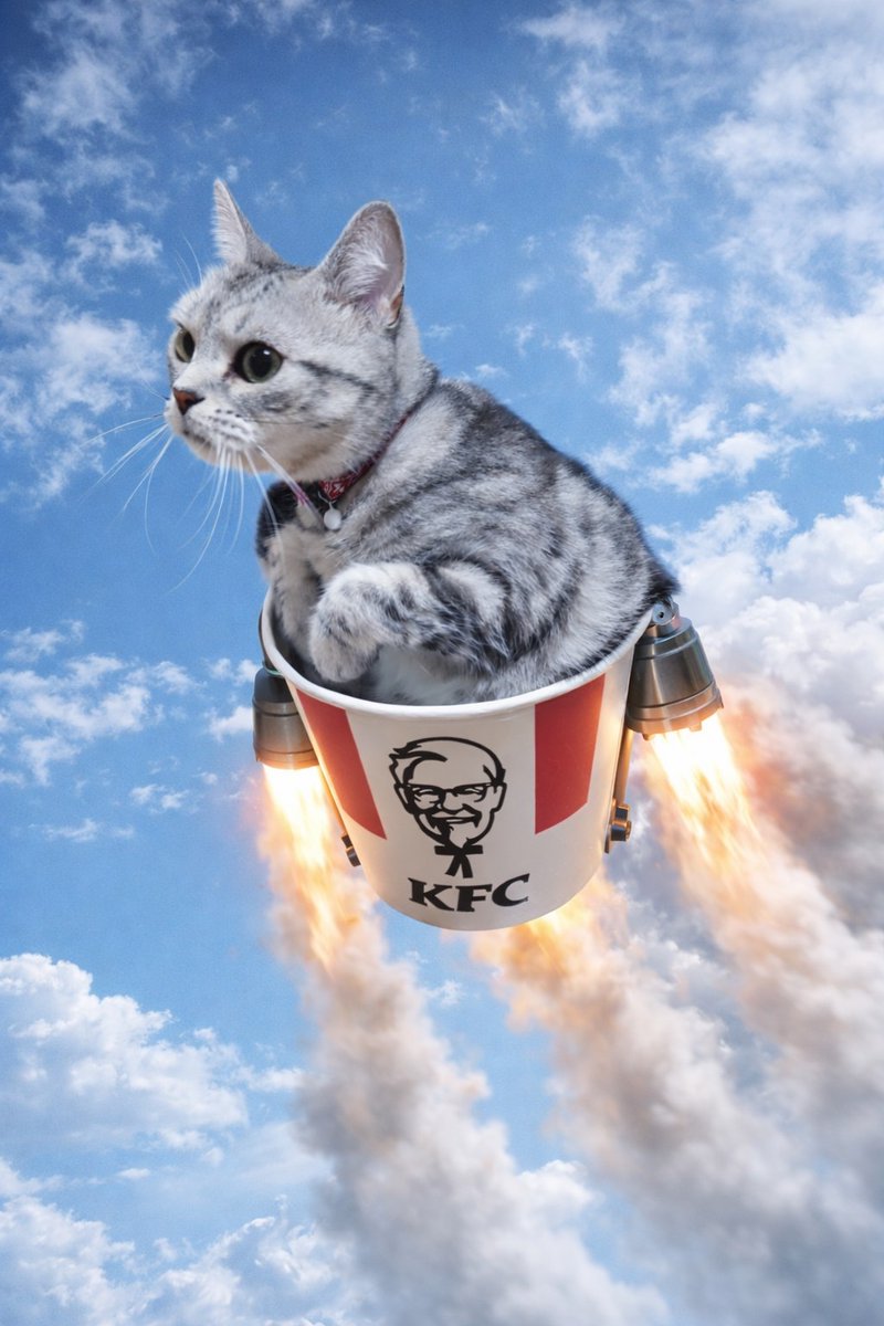 セインチャンネル / SeinChannel【SEINCH】 tweet media