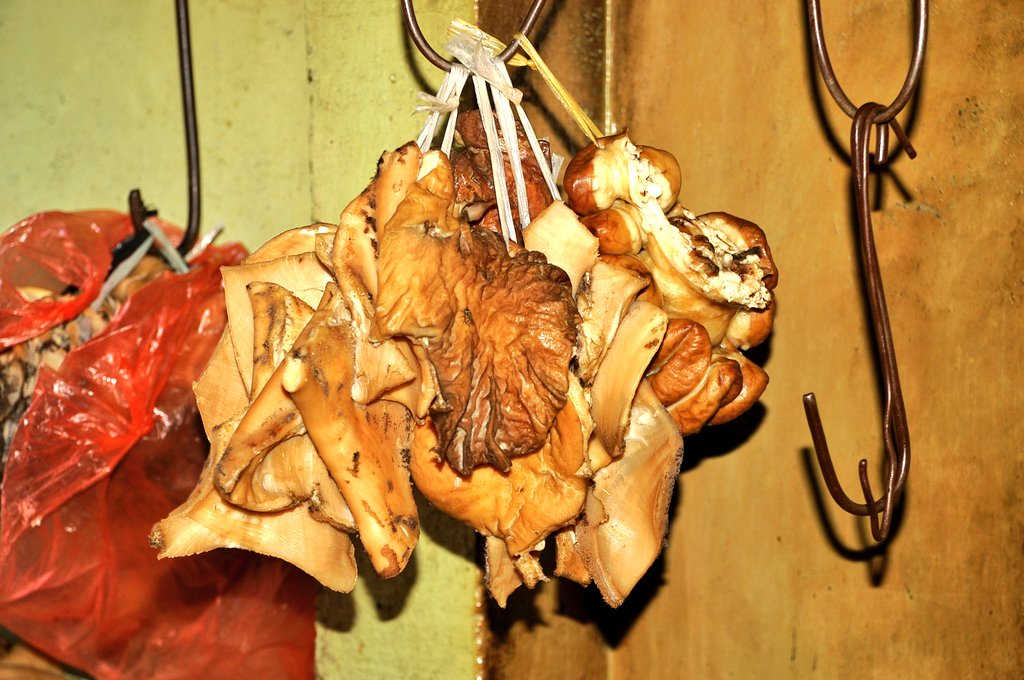 #KelanaRasa tweet media