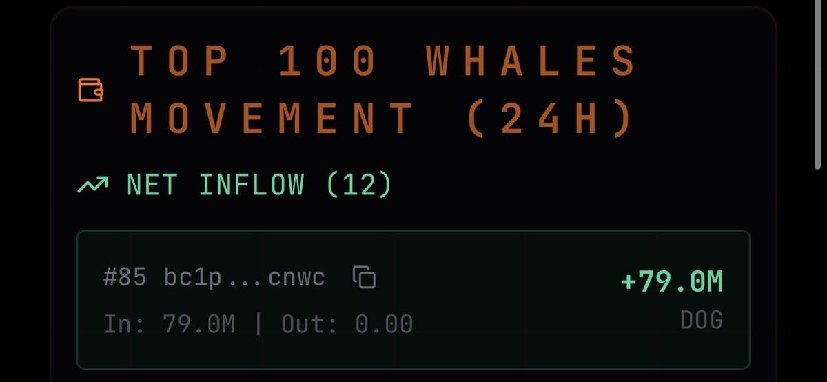 Vincent (Cryptolution) 👑 tweet media