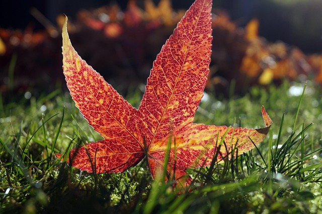 Bob Parker tweet media