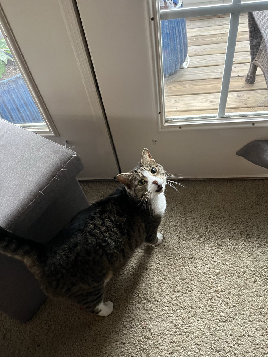 Ashley Connors tweet media