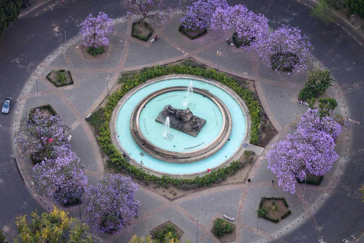 Santiago Arau tweet media