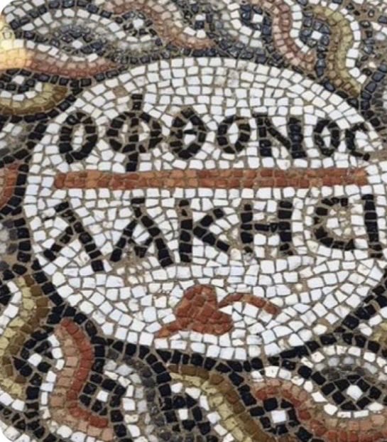 @kralın_kızı tweet media