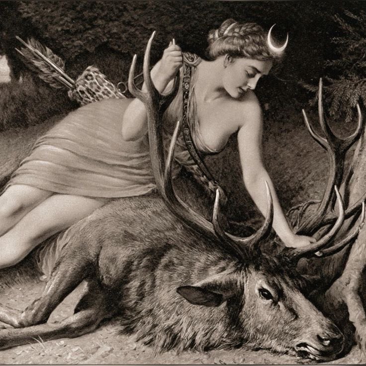 Hellenist ☀️🏺⚡️ tweet media