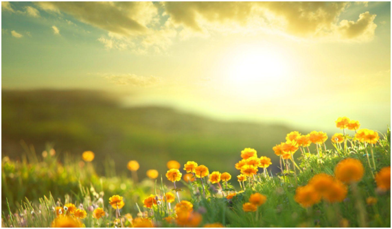 RepTodayMag tweet media