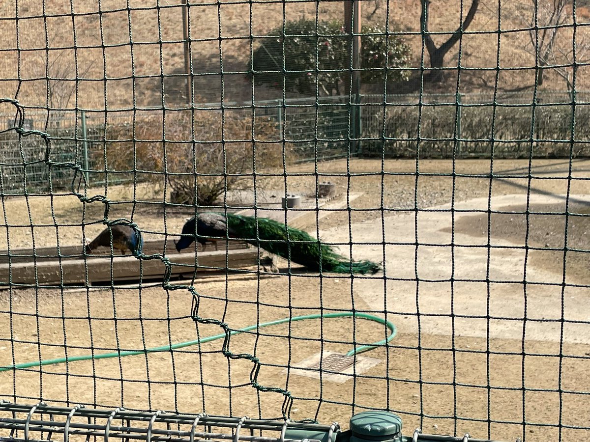 ka_tabemono's tweet photo. 今日は子どもと一緒に公園へ
お弁当買って食べました
久々ですが元気です！
昨夜はゼリー作りました😅 https://t.co/X6f1V6ewHU