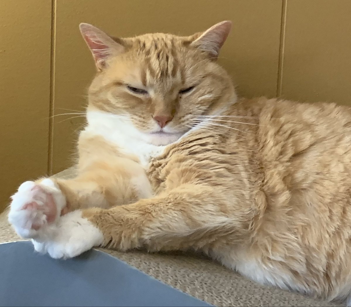 Sean𝕏🚀 tweet media