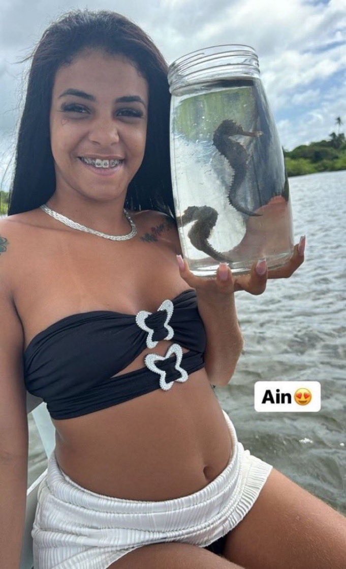 irmã tem voz de flauta tweet media