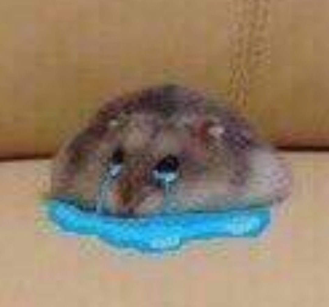 starlightchatterbox💙✨ tweet media