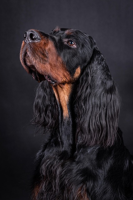 Dave Hawn tweet media