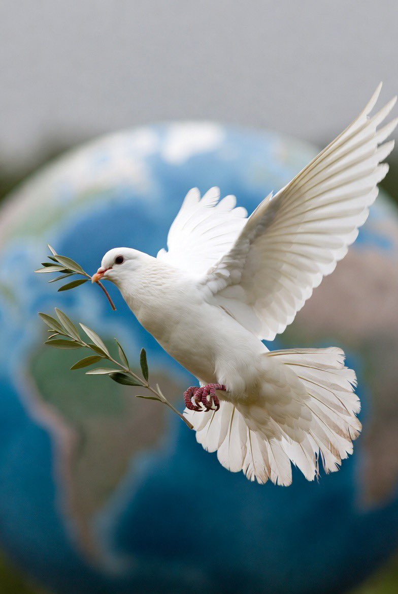 It’s Taztouz🤴🏽 tweet media