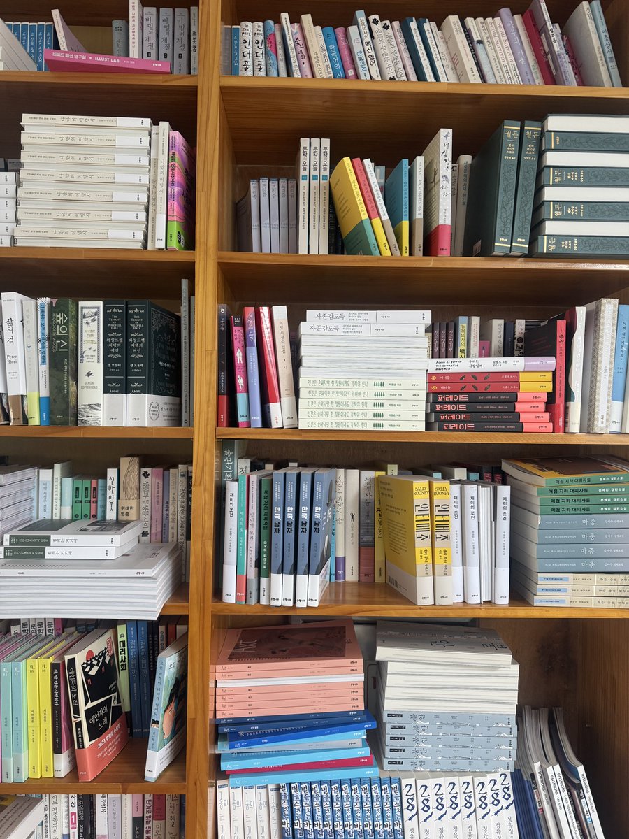 ์๋๐ tweet media