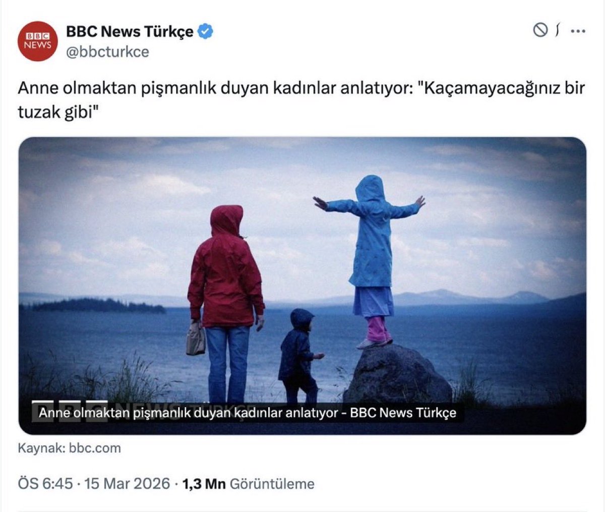 Prof. Dr. Veysi Ceri tweet media