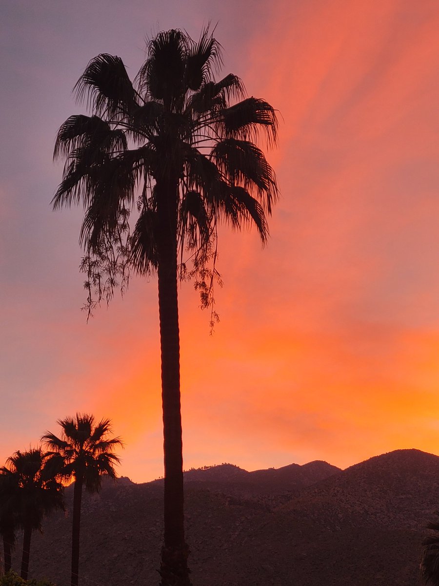 Groovy Reflections™ tweet media