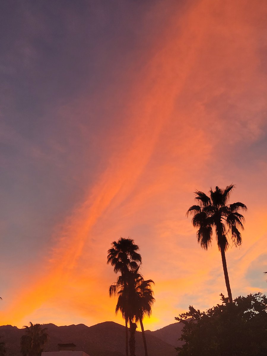 Groovy Reflections™ tweet media