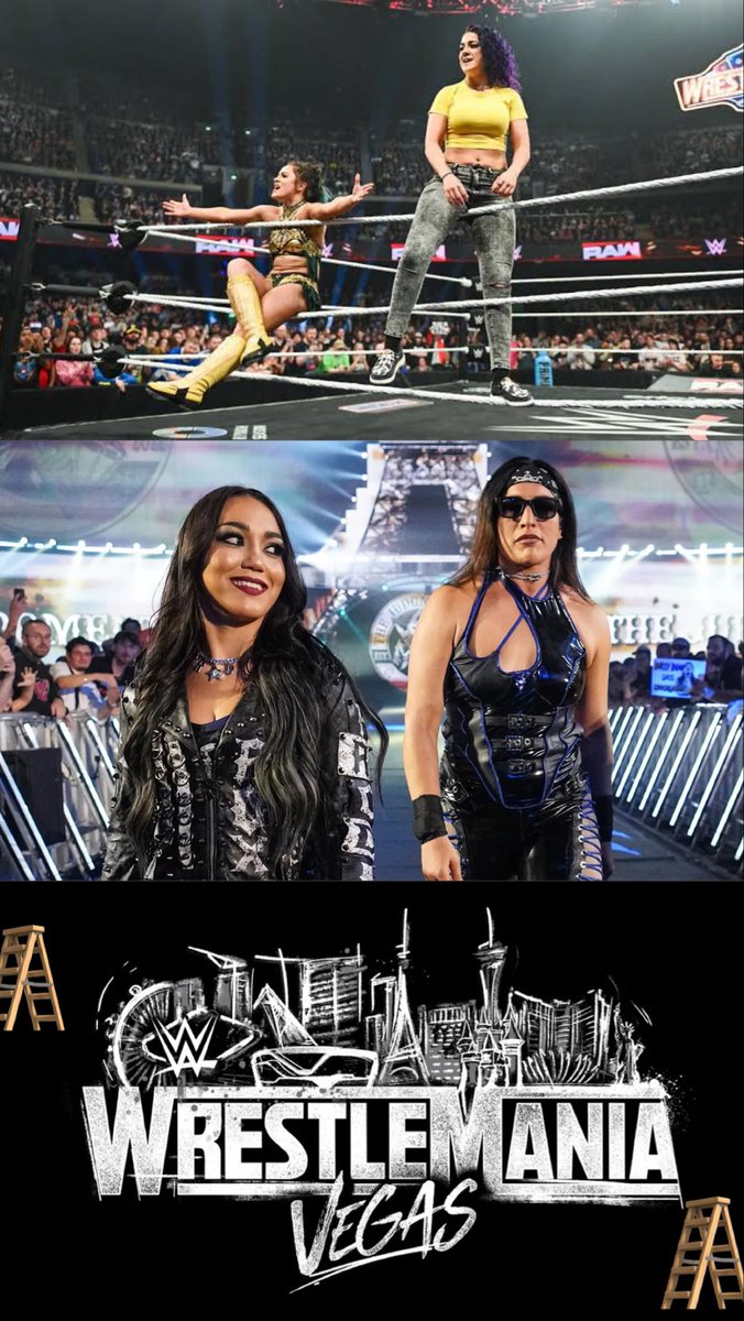 starboymania's tweet photo. the women’s tag team divison is so stacked rn and all i can say is… WOMEN’S LADDER MATCH FOR THE TAG TITLES AT #WRESTLEMANIA⭐️ 

GIVE IT TO US @TRIPLEH @WWE !!! #WWERAW #SMACKDOWN https://t.co/aRsjXHG1Pr