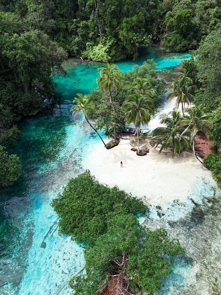 Travel Guide tweet media