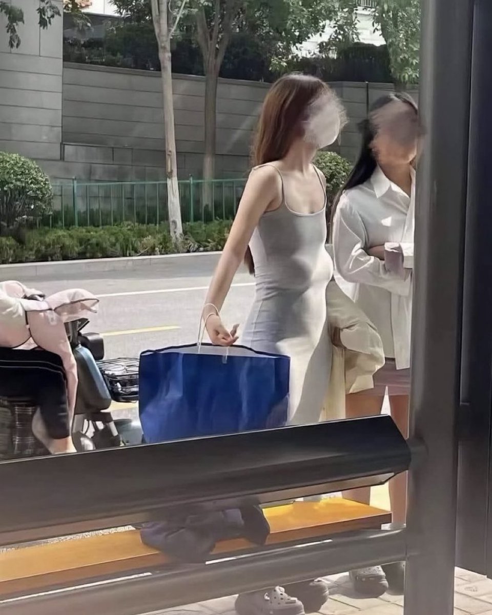 パピヨンくんＺ tweet media