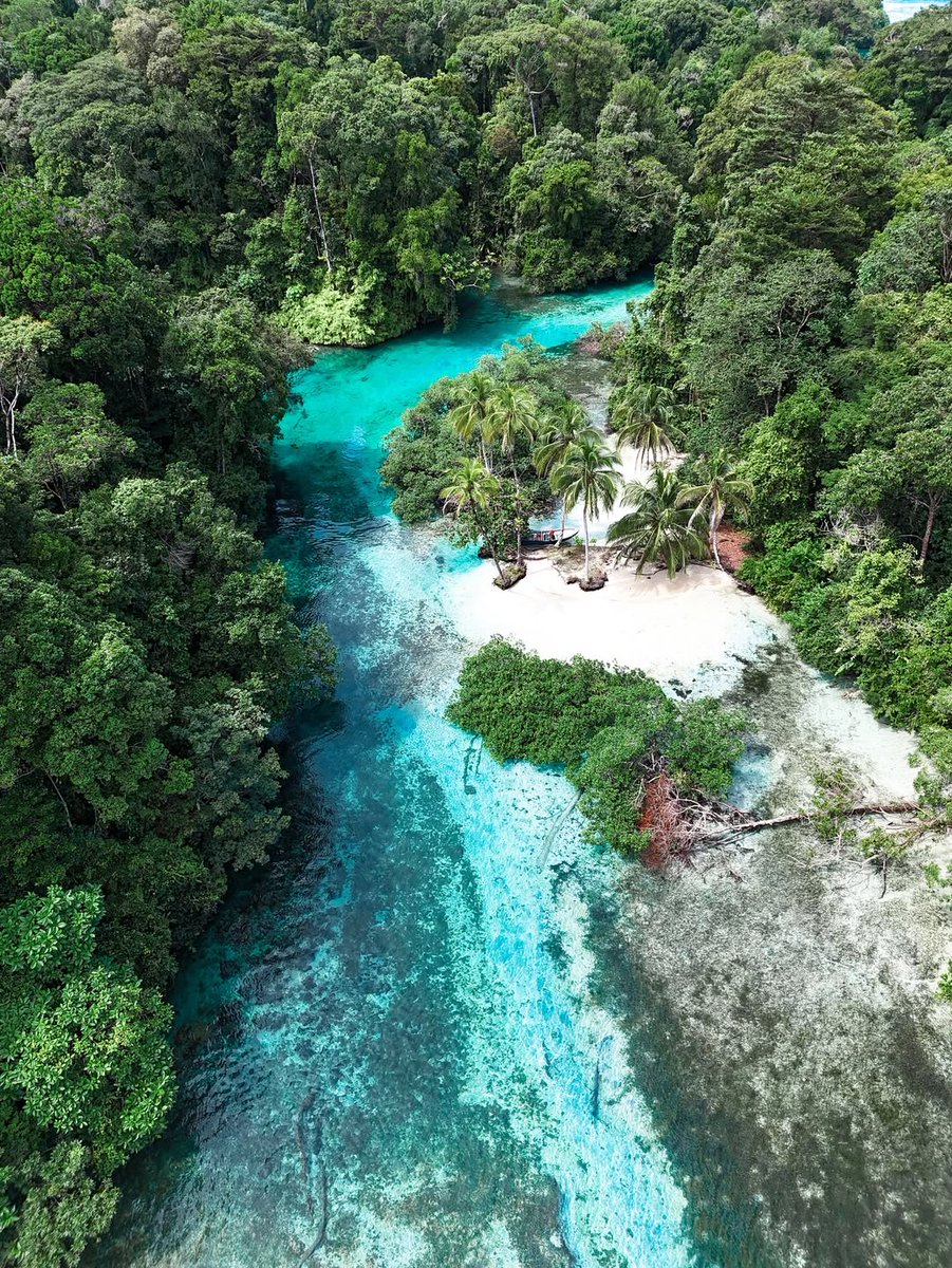 Travel Guide tweet media