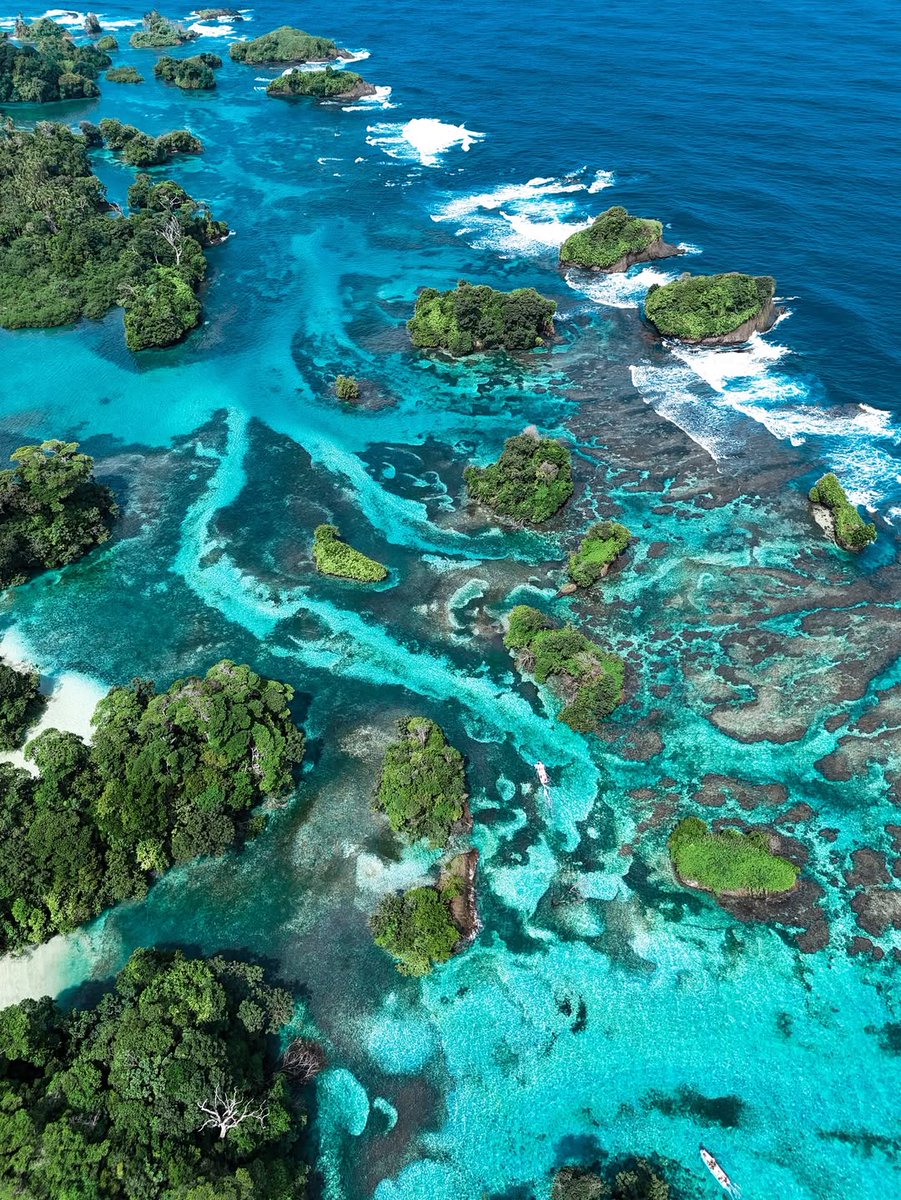 Travel Guide tweet media