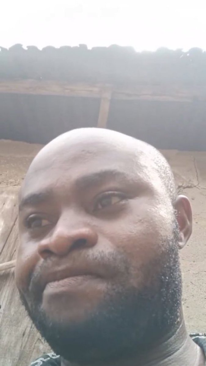 Harry Da Diegot tweet media