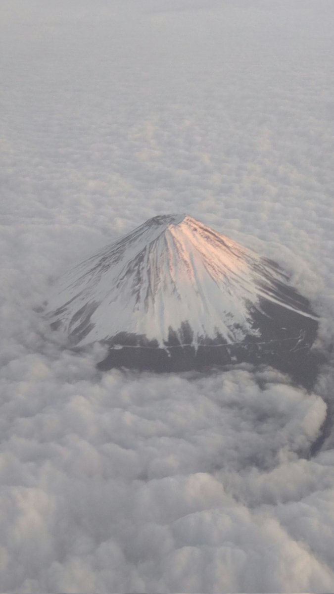 run_shin tweet media